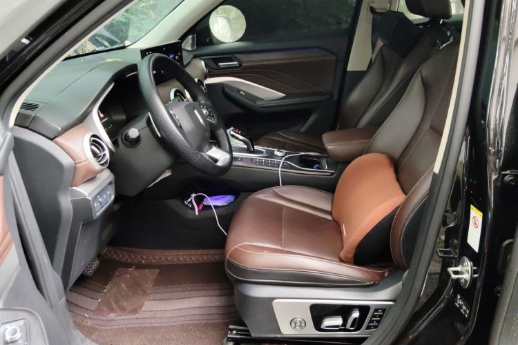 Used Wey VV6 2019 2.0T Two-Wheel-Drive Flagship Version China VI Standard Left Front Seat