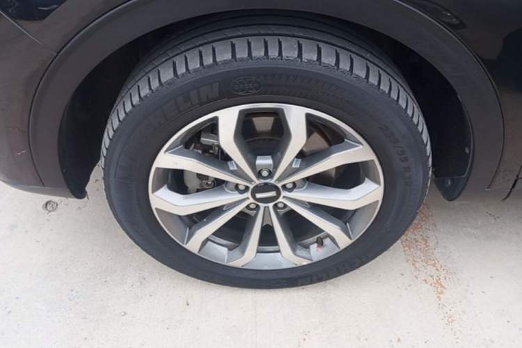 Used Wey VV6 2019 2.0T Two-Wheel-Drive Ultra-Luxury Version China VI Standard Left Front Wheel Hub