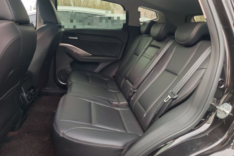 Used Wey VV6 2019 2.0T Two-Wheel-Drive Ultra-Luxury Version China VI Standard Left Rear Seat