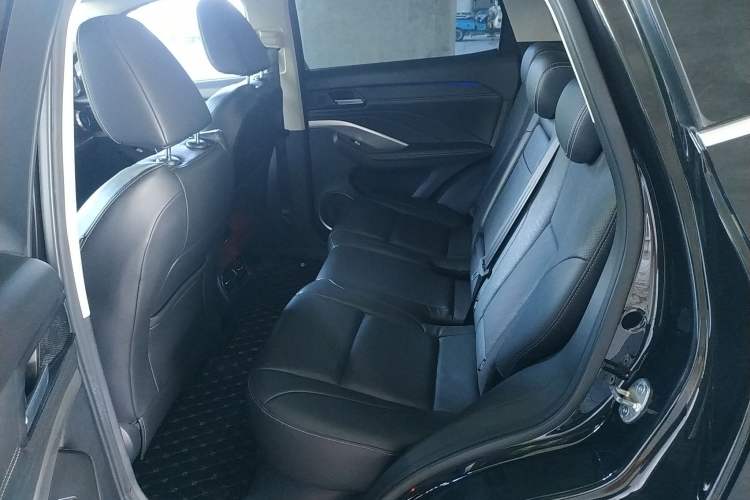 Used Wey VV6 2019 2.0T Two-Wheel-Drive Flagship Version China VI Standard Left Rear Seat