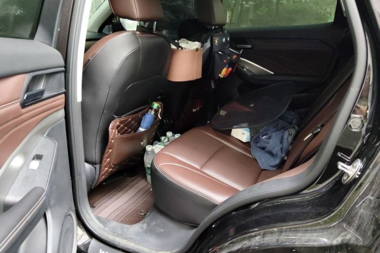 Used Wey VV6 2019 2.0T Two-Wheel-Drive Flagship Version China VI Standard Left Rear Seat