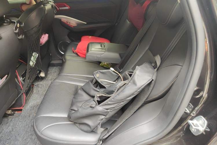 Used Wey VV6 2019 2.0T Two-Wheel-Drive Ultra-Luxury Version China VI Standard Left Rear Seat