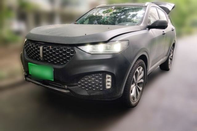 Used Wey VV6 2019 2.0T Two-Wheel-Drive Flagship Version China VI Standard