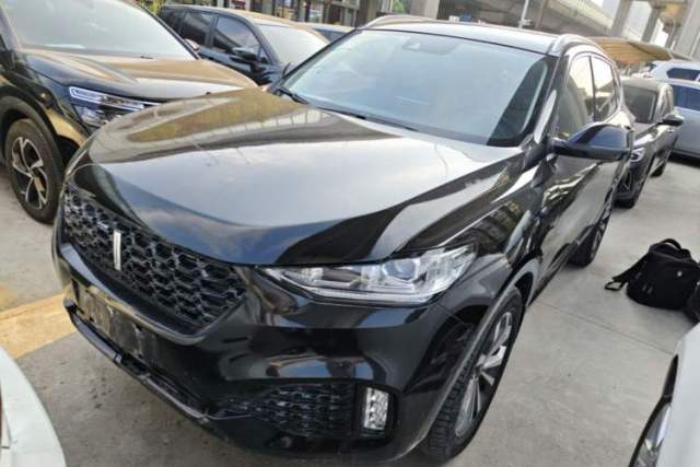 Used Wey VV6 2019 2.0T Two-Wheel-Drive Ultra-Luxury Version China VI Standard