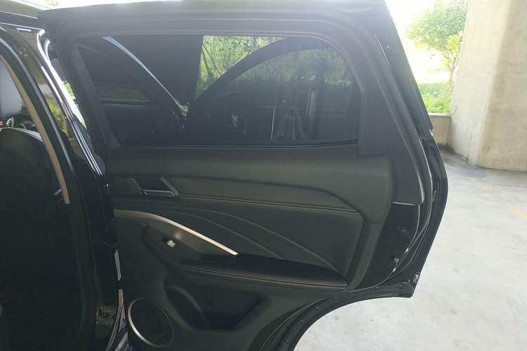 Used Wey VV6 2019 2.0T Two-Wheel-Drive Flagship Version China VI Standard Right Rear Door Interior