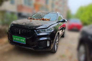 Used Wey VV6 2019 2.0T Two-Wheel-Drive Ultra-Luxury Version China VI Standard