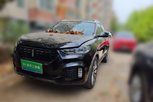 Used Wey VV6 2019 2.0T Two-Wheel-Drive Ultra-Luxury Version China VI Standard