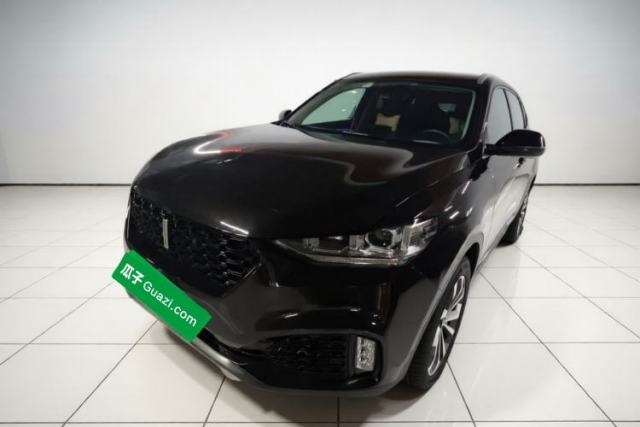 Used Wey VV6 2019 2.0T Two-Wheel-Drive Flagship Version China VI Standard