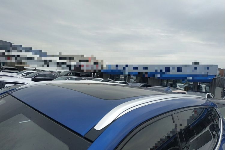 Used Wey VV6 2019 2.0T Two-Wheel-Drive Flagship Version China VI Standard Roof