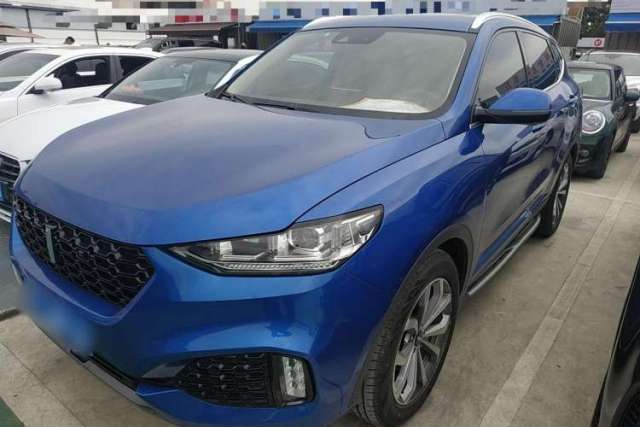 Used Wey VV6 2019 2.0T Two-Wheel-Drive Flagship Version China VI Standard