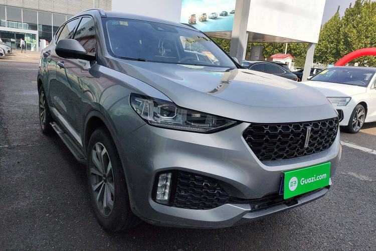 Used Wey VV6 2019 2.0T Two-Wheel-Drive Flagship Version China VI Standard Exterior 2
