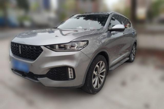Used Wey VV6 2019 2.0T Two-Wheel-Drive Ultra-Luxury Version China VI Standard