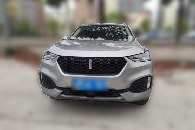 Used Wey VV6 2019 2.0T Two-Wheel-Drive Ultra-Luxury Version China VI Standard Front