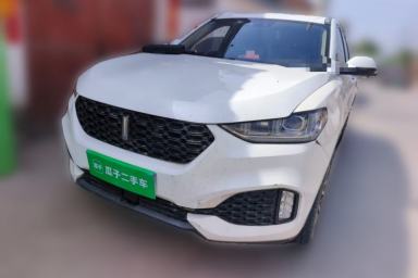 Used Wey VV6 2019 2.0T Two-Wheel-Drive Flagship Version China VI Standard