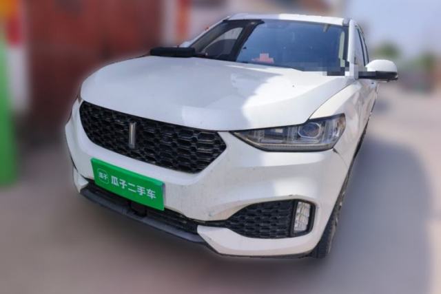 Used Wey VV6 2019 2.0T Two-Wheel-Drive Flagship Version China VI Standard