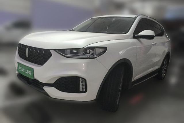Used Wey VV6 2019 2.0T Two-Wheel-Drive Ultra-Luxury Version China VI Standard