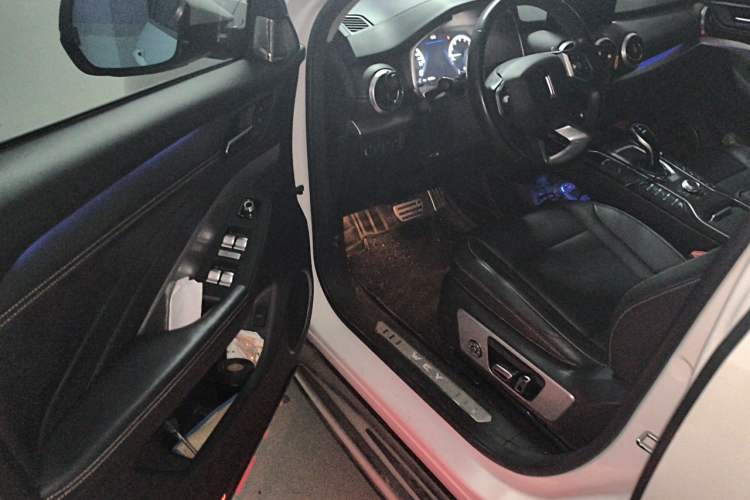 Used Wey VV6 2019 2.0T Two-Wheel-Drive Ultra-Luxury Version China VI Standard Driver Seat