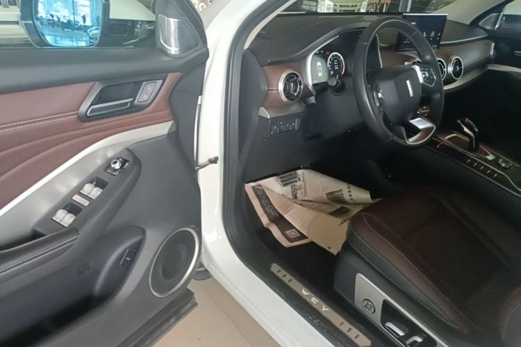 Used Wey VV6 2019 2.0T Two-Wheel-Drive Ultra-Luxury Version China VI Standard Driver Seat