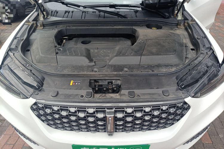 Used Wey VV6 2019 2.0T Four-Wheel Drive Ultra-Luxury Version China VI Standard Engine Bay