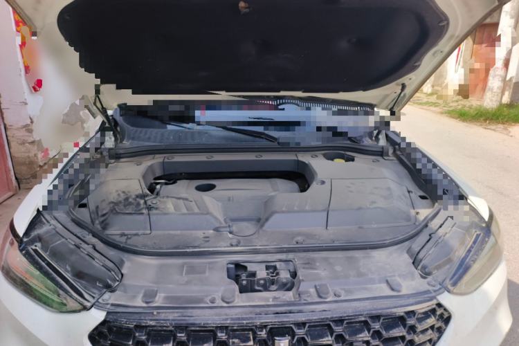 Used Wey VV6 2019 2.0T Two-Wheel-Drive Flagship Version China VI Standard Engine Bay