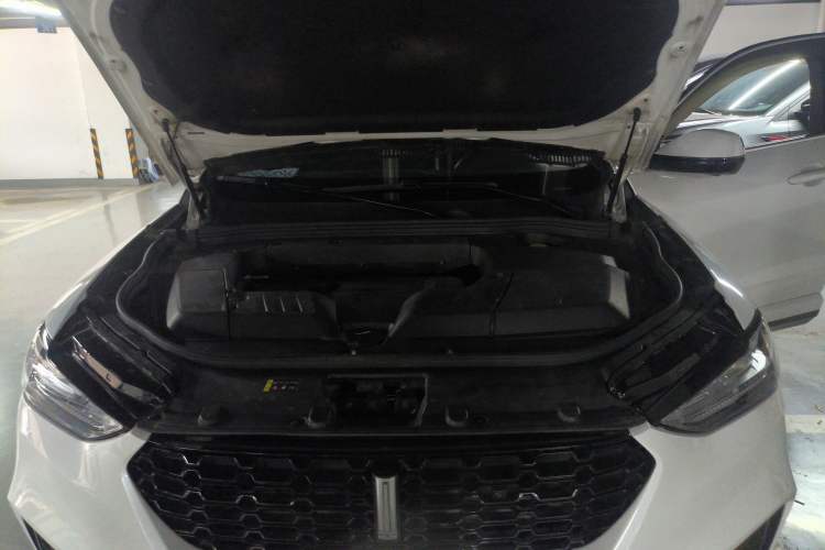 Used Wey VV6 2019 2.0T Two-Wheel-Drive Ultra-Luxury Version China VI Standard Engine Bay