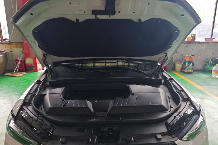 Used Wey VV6 2019 2.0T Two-Wheel-Drive Ultra-Luxury Version China VI Standard Engine Bay
