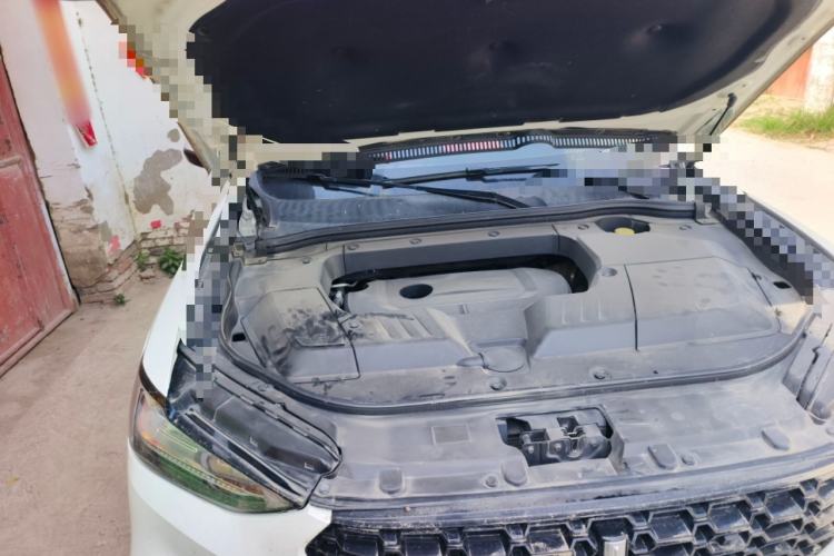 Used Wey VV6 2019 2.0T Two-Wheel-Drive Flagship Version China VI Standard Engine Bay Right