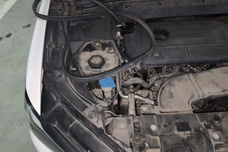 Used Wey VV6 2019 2.0T Two-Wheel-Drive Ultra-Luxury Version China VI Standard Engine Bay Right