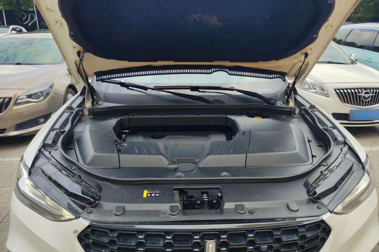 Used Wey VV6 2019 2.0T Two-Wheel-Drive Flagship Version China VI Standard Engine Bay