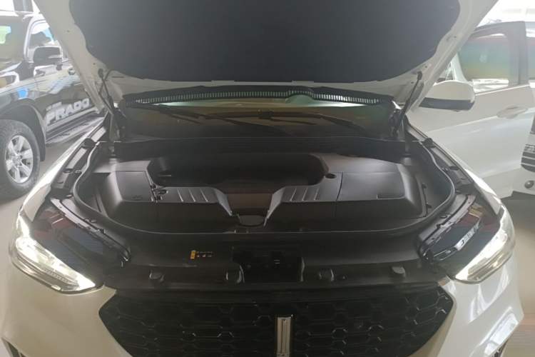 Used Wey VV6 2019 2.0T Two-Wheel-Drive Ultra-Luxury Version China VI Standard Engine Bay