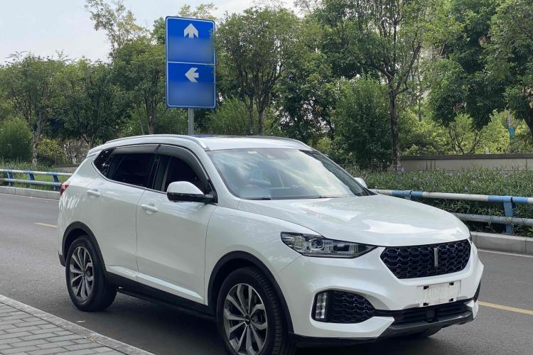 Used Wey VV6 2019 2.0T Two-Wheel-Drive Ultra-Luxury Version China VI Standard Exterior 1