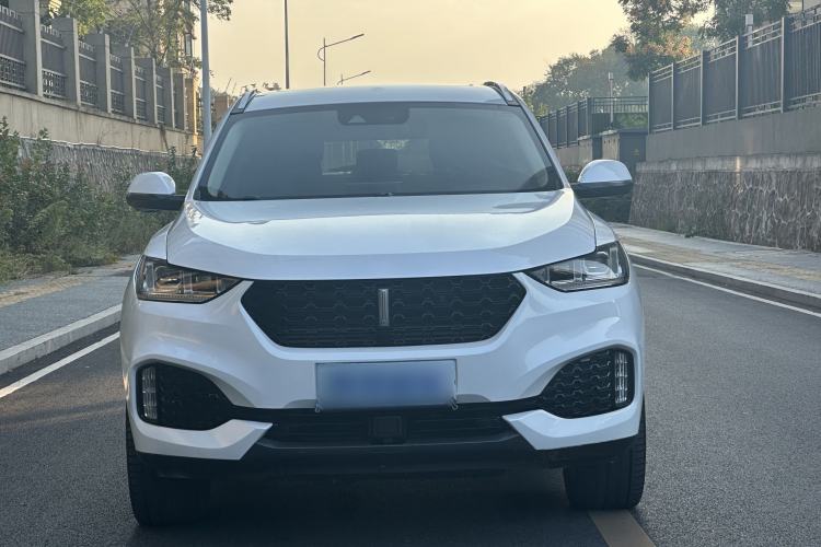 Used Wey VV6 2019 2.0T Two-Wheel-Drive Ultra-Luxury Version China VI Standard Exterior 1