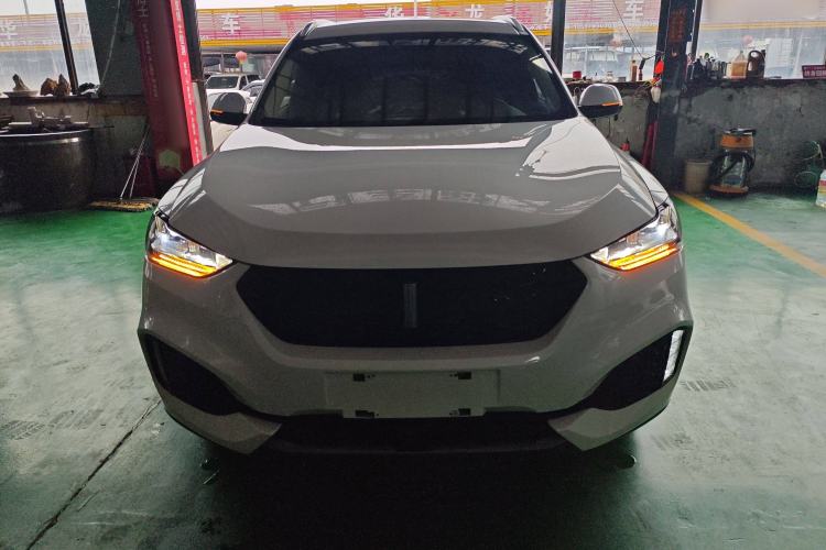 Used Wey VV6 2019 2.0T Two-Wheel-Drive Ultra-Luxury Version China VI Standard Exterior 1