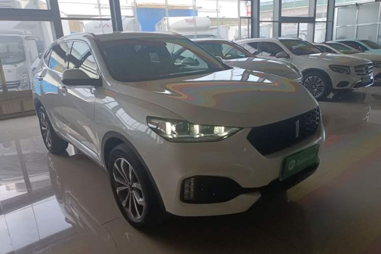 Used Wey VV6 2019 2.0T Two-Wheel-Drive Ultra-Luxury Version China VI Standard Exterior 1