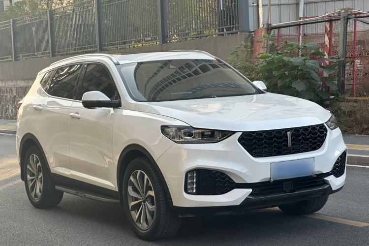 Used Wey VV6 2019 2.0T Two-Wheel-Drive Ultra-Luxury Version China VI Standard Exterior 2