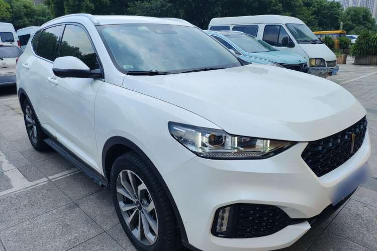 Used Wey VV6 2019 2.0T Two-Wheel-Drive Flagship Version China VI Standard Exterior 2