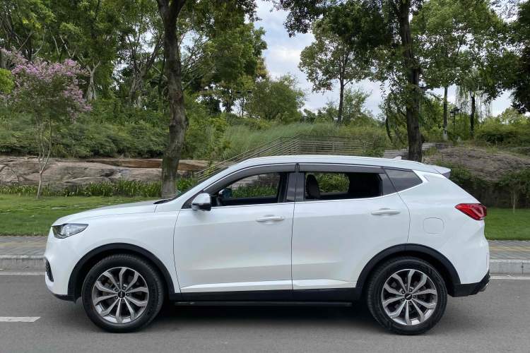Used Wey VV6 2019 2.0T Two-Wheel-Drive Ultra-Luxury Version China VI Standard Exterior 5