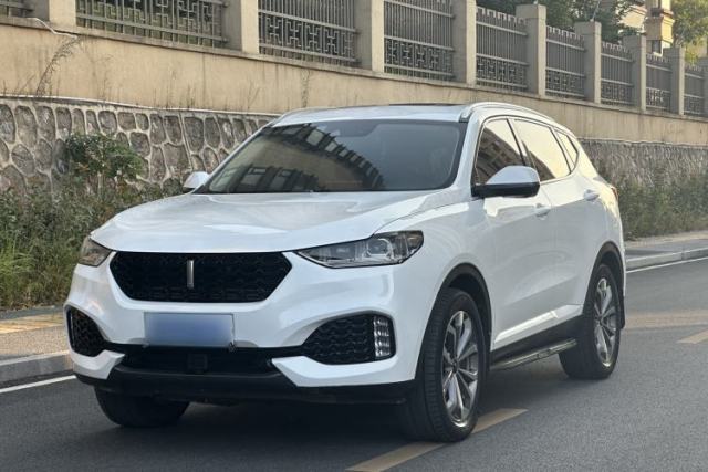 Used Wey VV6 2019 2.0T Two-Wheel-Drive Ultra-Luxury Version China VI Standard