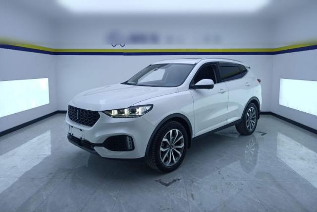 Used Wey VV6 2019 2.0T Two-Wheel-Drive Flagship Version China VI Standard