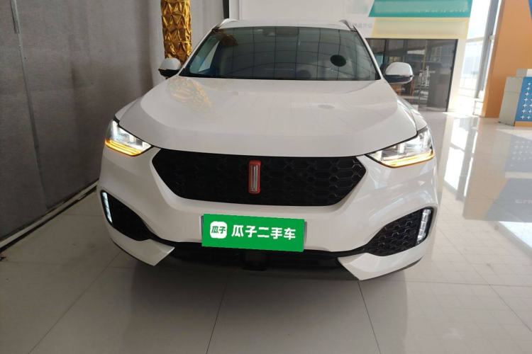 Used Wey VV6 2019 2.0T Two-Wheel-Drive Ultra-Luxury Version China VI Standard Front