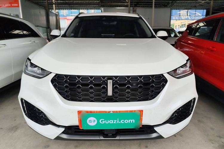 Used Wey VV6 2019 2.0T Two-Wheel-Drive Ultra-Luxury Version China VI Standard Front