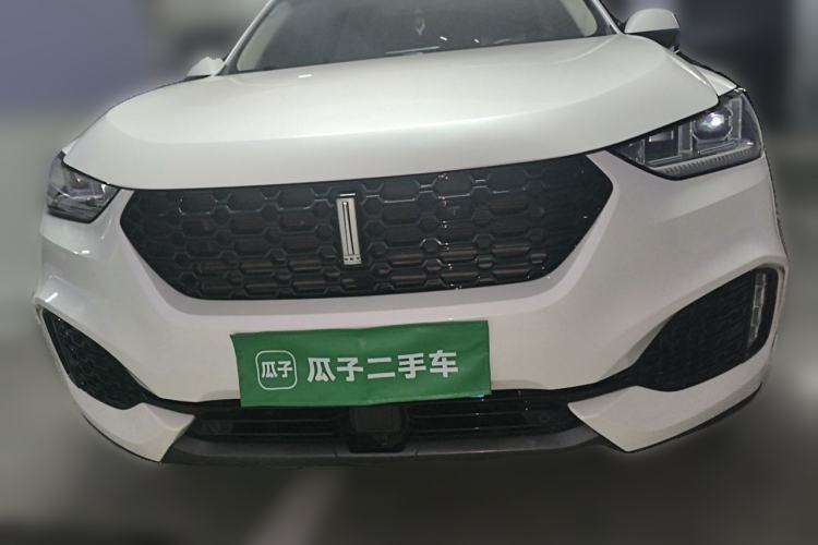 Used Wey VV6 2019 2.0T Two-Wheel-Drive Ultra-Luxury Version China VI Standard Front