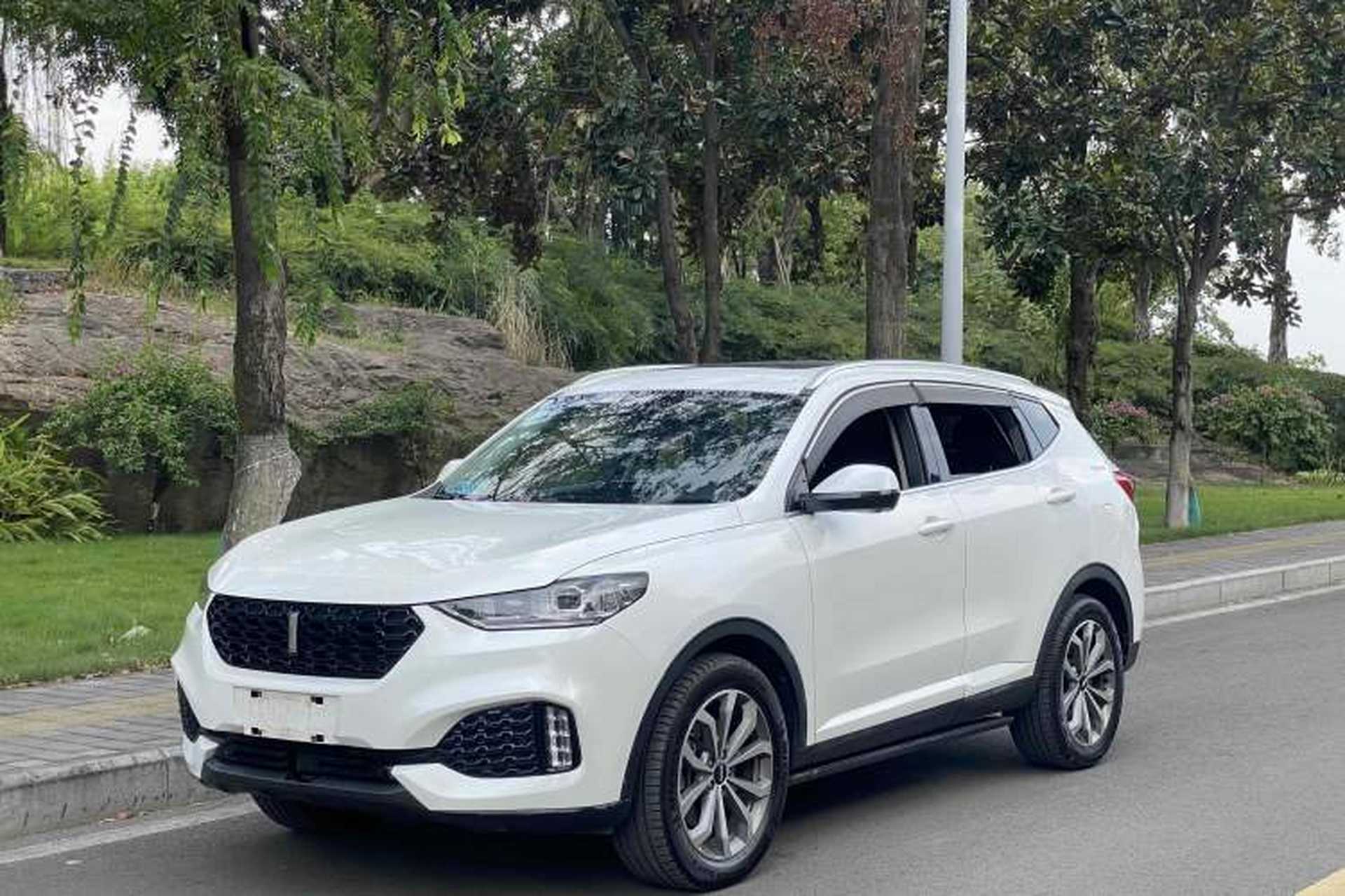 Used Wey VV6 2019 2.0T Two-Wheel-Drive Ultra-Luxury Version China VI Standard Front Left 45 Deg