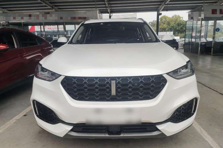 Used Wey VV6 2019 2.0T Two-Wheel-Drive Ultra-Luxury Version China VI Standard Front