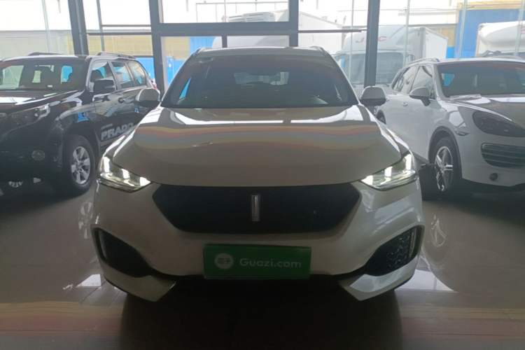 Used Wey VV6 2019 2.0T Two-Wheel-Drive Ultra-Luxury Version China VI Standard Front