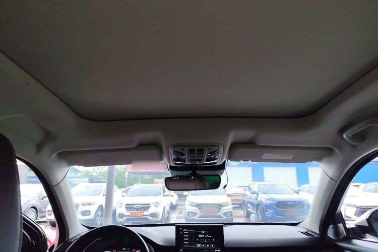 Used Wey VV6 2019 2.0T Two-Wheel-Drive Ultra-Luxury Version China VI Standard Headliner