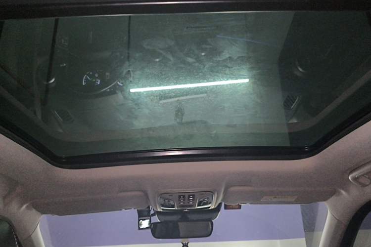 Used Wey VV6 2019 2.0T Two-Wheel-Drive Ultra-Luxury Version China VI Standard Headliner