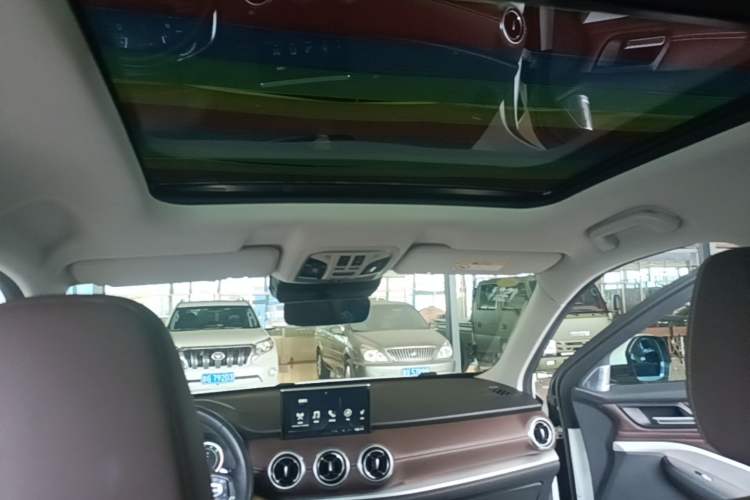 Used Wey VV6 2019 2.0T Two-Wheel-Drive Ultra-Luxury Version China VI Standard Headliner