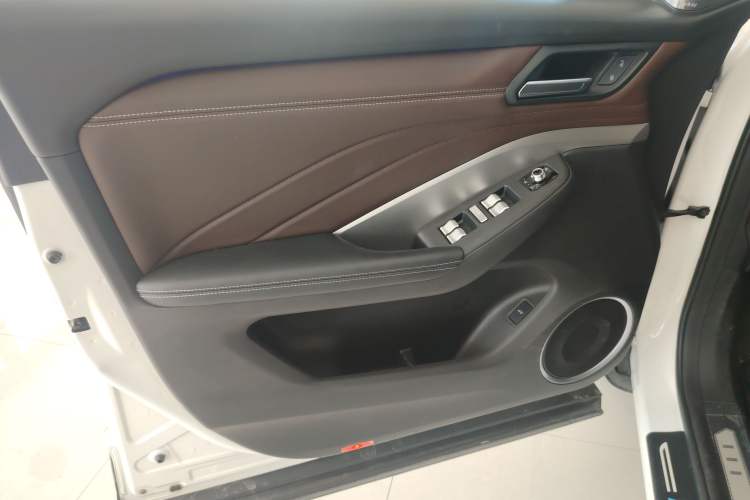 Used Wey VV6 2019 2.0T Two-Wheel-Drive Ultra-Luxury Version China VI Standard Left Front Door Interior