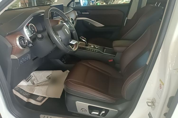 Used Wey VV6 2019 2.0T Two-Wheel-Drive Ultra-Luxury Version China VI Standard Left Front Seat